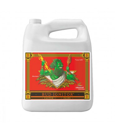 Bud Ignitor 10l