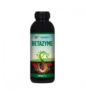 BetaZyme