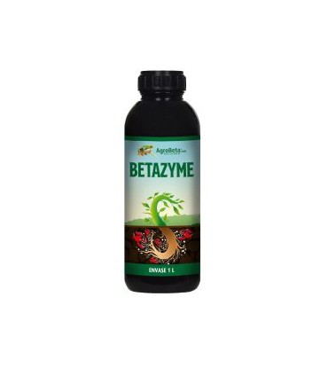 BetaZyme