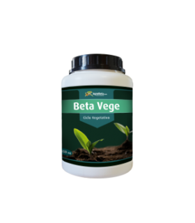 Beta Vege