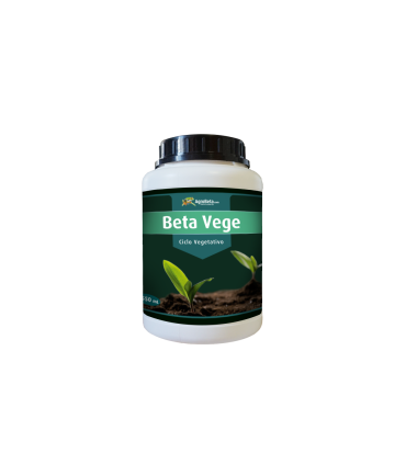 Beta Vege