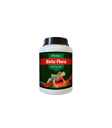 Beta Flora