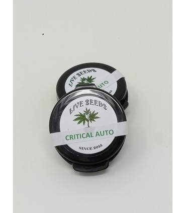 copy of 100 SEMILLAS CRITICAL