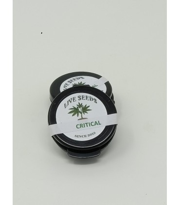 100 SEMILLAS CRITICAL