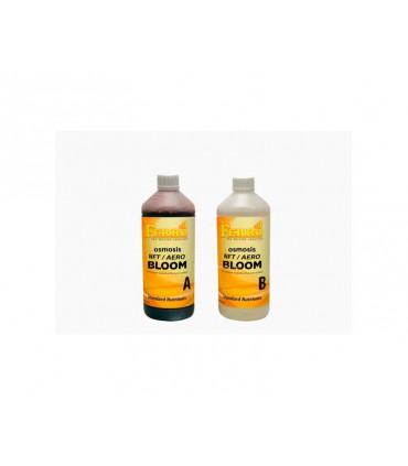 NFT AERO FLORACIÓN OSMOSIS A+B