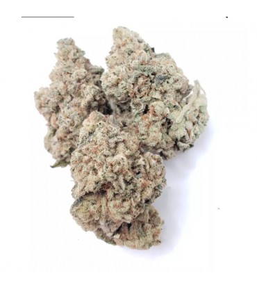 GRAPE PIE