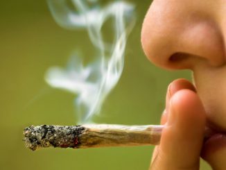 efectos-fumar-marihuana