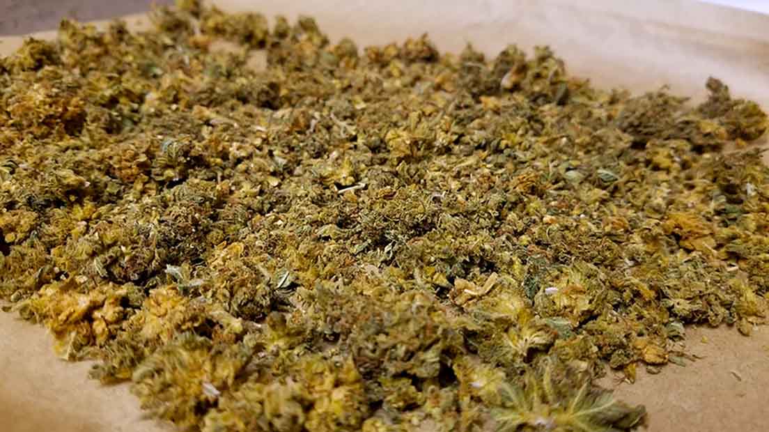 Descarboxilación del cannabis: qué es y cómo se hace- Alchimia